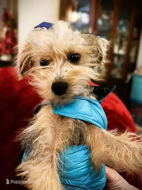 Skittles Valentines Day