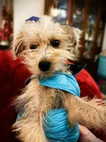 processed/79881d32-ae19-4bad-9b91-22fb6863ca06/listing/4841e93d-34ed-4f8d-91d8-2125552aed42/532eaddf-1910-41f9-b204-dce67c3d3105