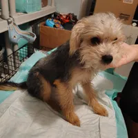 processed/79881d32-ae19-4bad-9b91-22fb6863ca06/listing/4841e93d-34ed-4f8d-91d8-2125552aed42/54ee2964-733b-4767-87f4-d58dadb3ec9b