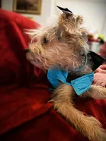 processed/79881d32-ae19-4bad-9b91-22fb6863ca06/listing/4841e93d-34ed-4f8d-91d8-2125552aed42/ac45465f-6f6d-49c5-a348-70f584efcfe9