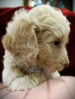 processed/79881d32-ae19-4bad-9b91-22fb6863ca06/listing/5695fdca-cbc7-492d-b76b-decbbf1e1577/00f476e9-8668-4ed3-b839-28c3cd48ddcd