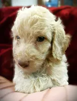 processed/79881d32-ae19-4bad-9b91-22fb6863ca06/listing/5695fdca-cbc7-492d-b76b-decbbf1e1577/52422d26-5cc8-4b5d-b775-58df8536b125