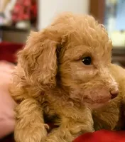 processed/79881d32-ae19-4bad-9b91-22fb6863ca06/listing/61d21da8-08da-49fa-942a-9adc106bedfb/668ce109-6ead-448d-9535-ce4d6488ce73