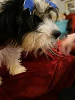 processed/79881d32-ae19-4bad-9b91-22fb6863ca06/listing/8b5aef49-fef8-4f59-bb15-91969b5afb7d/06547b2d-6b12-4881-b155-9230988cda94