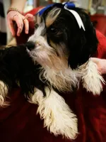 processed/79881d32-ae19-4bad-9b91-22fb6863ca06/listing/8b5aef49-fef8-4f59-bb15-91969b5afb7d/29647b1f-1b06-45c6-b541-b5c4d2c87368