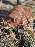 processed/7989e51f-0bfb-4afb-8f38-d617a6cc7b4c/facility/91906554-f225-440f-8c7c-d919c8d52921