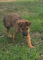 processed/7989e51f-0bfb-4afb-8f38-d617a6cc7b4c/listing/d6cf5730-5749-4063-bcc6-b7cb4df1e88a/0d4a8775-479a-4919-8d07-214503923ad7