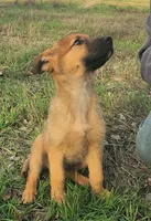 processed/7989e51f-0bfb-4afb-8f38-d617a6cc7b4c/listing/d6cf5730-5749-4063-bcc6-b7cb4df1e88a/2f06a087-cbf8-45bb-a0ce-e8b06c8a6d61