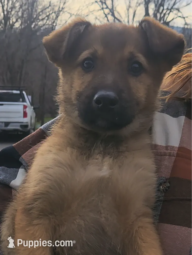 processed/7989e51f-0bfb-4afb-8f38-d617a6cc7b4c/listing/d6cf5730-5749-4063-bcc6-b7cb4df1e88a/90cff780-bac6-4260-bd8e-f701594047e9