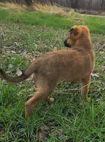 processed/7989e51f-0bfb-4afb-8f38-d617a6cc7b4c/listing/d6cf5730-5749-4063-bcc6-b7cb4df1e88a/9a91e88b-8bcf-427a-8930-20a62437011d