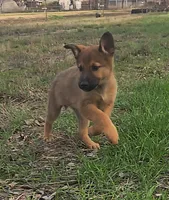 processed/7989e51f-0bfb-4afb-8f38-d617a6cc7b4c/listing/d6cf5730-5749-4063-bcc6-b7cb4df1e88a/a2cd588a-a0ba-403d-adf9-20e5ef9372ac