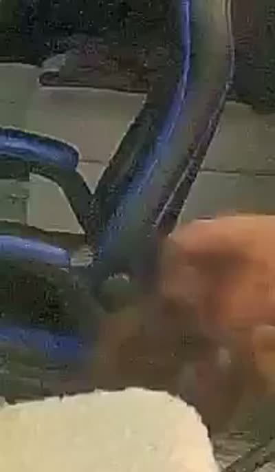 Facility video