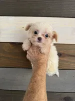 processed/7993a243-85e9-4149-a57b-4c1368d376ac/listing/e6c42e7a-7afa-4bac-9694-c4c763b8d37e/2592f3f6-15a0-4334-bb39-f3fc4002dee8