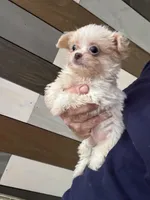 processed/7993a243-85e9-4149-a57b-4c1368d376ac/listing/e6c42e7a-7afa-4bac-9694-c4c763b8d37e/8bd947dc-81b1-4d01-9afb-2bedb6783821