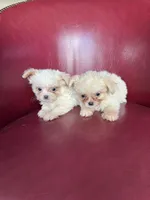 processed/7993a243-85e9-4149-a57b-4c1368d376ac/listing/e6c42e7a-7afa-4bac-9694-c4c763b8d37e/c9ddb805-1cee-4e86-a72a-03539d7d5aaa