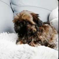 processed/799f8a8e-c314-4fd6-b1d0-9d24648fff41/listing/8c050981-4165-40f9-a139-a843be99a44b/7199761b-8f66-47ee-a266-d350d7cad6bf