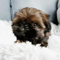 processed/799f8a8e-c314-4fd6-b1d0-9d24648fff41/listing/8c050981-4165-40f9-a139-a843be99a44b/99b2015a-82be-4eac-a320-f279963859a0