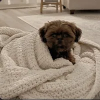 processed/799f8a8e-c314-4fd6-b1d0-9d24648fff41/listing/8c050981-4165-40f9-a139-a843be99a44b/c843ac65-c591-4369-b482-3a39182515f6