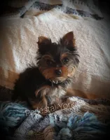 processed/79a1b398-ee03-4133-95fd-8272f8e2defa/facility/59641754-4d04-4878-9893-091942ce37e4