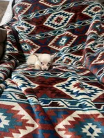 Dallas, a male Chihuahua for sale in Sevierville, TN – 1 of 5