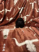 Allardt , a male Cockapoo for sale in Sevierville, TN – Photo 3 of 5