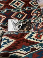 Daisy , a female Chihuahua for sale in Sevierville, TN – 4 of 8