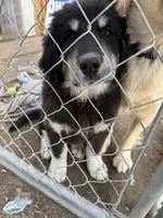 processed/79af6b24-4058-450c-9f90-c47f9a4684a4/listing/dbc051cc-e193-4a38-8a79-c174dbe13f6d/0c67065f-bbdf-4a71-bb40-11f8461d3dd9