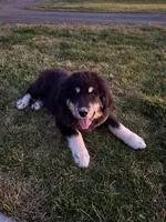 processed/79af6b24-4058-450c-9f90-c47f9a4684a4/listing/dbc051cc-e193-4a38-8a79-c174dbe13f6d/1b40e9fe-6ae4-496d-b691-d668dcedf987