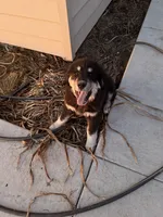 processed/79af6b24-4058-450c-9f90-c47f9a4684a4/listing/dbc051cc-e193-4a38-8a79-c174dbe13f6d/2f70e956-3ac6-4114-aaa0-b54b48863fd1