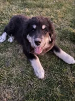 processed/79af6b24-4058-450c-9f90-c47f9a4684a4/listing/dbc051cc-e193-4a38-8a79-c174dbe13f6d/b22021bb-112d-4f54-8688-b5adc464d159