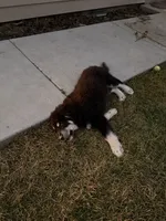 processed/79af6b24-4058-450c-9f90-c47f9a4684a4/listing/dbc051cc-e193-4a38-8a79-c174dbe13f6d/d921ab7d-a18e-4269-8a39-b61dc3253121