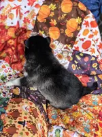 processed/79b4f0c2-106d-40d5-9044-90cc0f24be9b/listing/3de58013-7f5e-453d-a86c-2417f2566227/4c0d2536-6350-491b-b913-f6f01c04b490