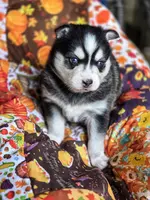 processed/79b4f0c2-106d-40d5-9044-90cc0f24be9b/listing/3de58013-7f5e-453d-a86c-2417f2566227/91fa703f-81f2-4de0-b1e5-28c828dd8c56