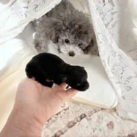 processed/79b97d95-6c7d-41cc-b11d-e15437939ea8/facility/1ddad2ac-f576-4e49-b3e5-f23a1e301512