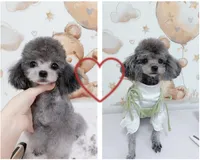 processed/79b97d95-6c7d-41cc-b11d-e15437939ea8/listing/c83dd5f3-d8d3-4d82-9bd1-d7f57e266dbb/1dd48272-6b53-4088-8e8d-f4bc3cb9cbcb