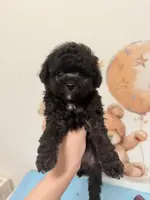 processed/79b97d95-6c7d-41cc-b11d-e15437939ea8/listing/c83dd5f3-d8d3-4d82-9bd1-d7f57e266dbb/395c845b-39b9-4958-9bca-660bdc9dcf7a