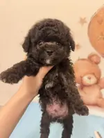 processed/79b97d95-6c7d-41cc-b11d-e15437939ea8/listing/c83dd5f3-d8d3-4d82-9bd1-d7f57e266dbb/a99479cc-dc62-44f8-844d-631355df576e