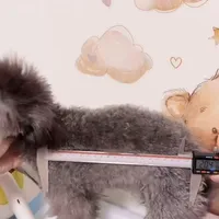 Silver Teacup Poodle - Lumi, a male Poodle - Toy  for sale in Suwanee, GA – Photo 3 of 6