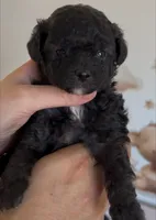 processed/79b97d95-6c7d-41cc-b11d-e15437939ea8/listing/c83dd5f3-d8d3-4d82-9bd1-d7f57e266dbb/e94dc0f6-a598-4b2f-806c-20567288f476