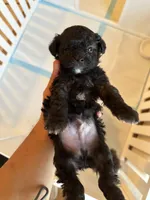 processed/79b97d95-6c7d-41cc-b11d-e15437939ea8/listing/c83dd5f3-d8d3-4d82-9bd1-d7f57e266dbb/f835fd13-6bad-4ed0-a2d4-ec435fe5d873