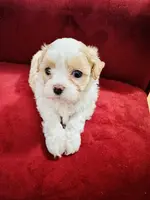 processed/79bec477-c1ab-40c5-9c6c-97a1a84c1eef/listing/d66dee42-685c-4be2-b5dd-4242a1b45c89/0acad65f-a542-4385-a312-9bbdbeff0b5f