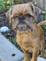 processed/79c2b53e-0575-490e-a329-9e9197fada31/listing/0188b8df-5213-43d2-b381-025b5055e404/b70adba7-8389-44e0-a1bc-ccc1cfa1e961