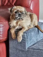 processed/79c2b53e-0575-490e-a329-9e9197fada31/listing/0188b8df-5213-43d2-b381-025b5055e404/e5674533-3b3a-44f9-a2bd-17ac65a94f2a