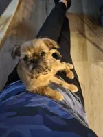 processed/79c2b53e-0575-490e-a329-9e9197fada31/listing/0188b8df-5213-43d2-b381-025b5055e404/e95addd1-5217-476b-80ec-6c738f47d64f