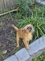 processed/79c2b53e-0575-490e-a329-9e9197fada31/listing/83bffb12-8180-4c0e-bed8-c53c079d975d/61d900d8-6cb7-48bf-ae7f-715ce24e7b7c