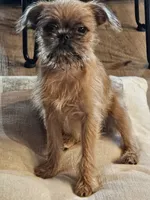 processed/79c2b53e-0575-490e-a329-9e9197fada31/listing/83bffb12-8180-4c0e-bed8-c53c079d975d/c72c2925-d322-4f89-90b0-af0acbabf18d