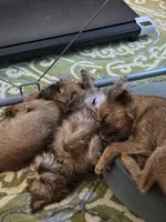 processed/79c2b53e-0575-490e-a329-9e9197fada31/listing/83bffb12-8180-4c0e-bed8-c53c079d975d/c9bf94e4-eedc-4ea7-b578-074331dd9cae