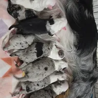 processed/79d68b88-2576-4804-b00a-0e9222e950ad/facility/01845e0e-8e9a-4de1-baed-4f09171e34e8