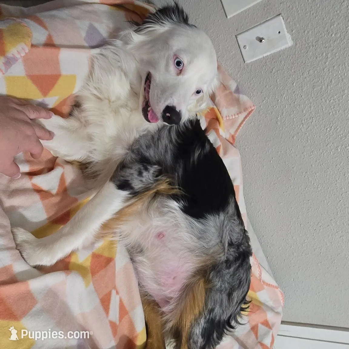 processed/79d68b88-2576-4804-b00a-0e9222e950ad/facility/cdc25655-c508-4431-9d1d-91366a55ad42