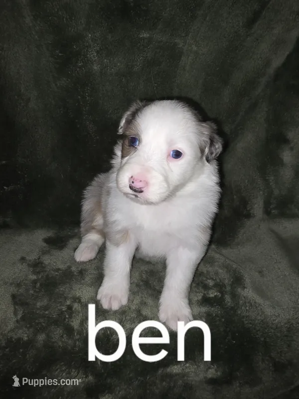 Ben